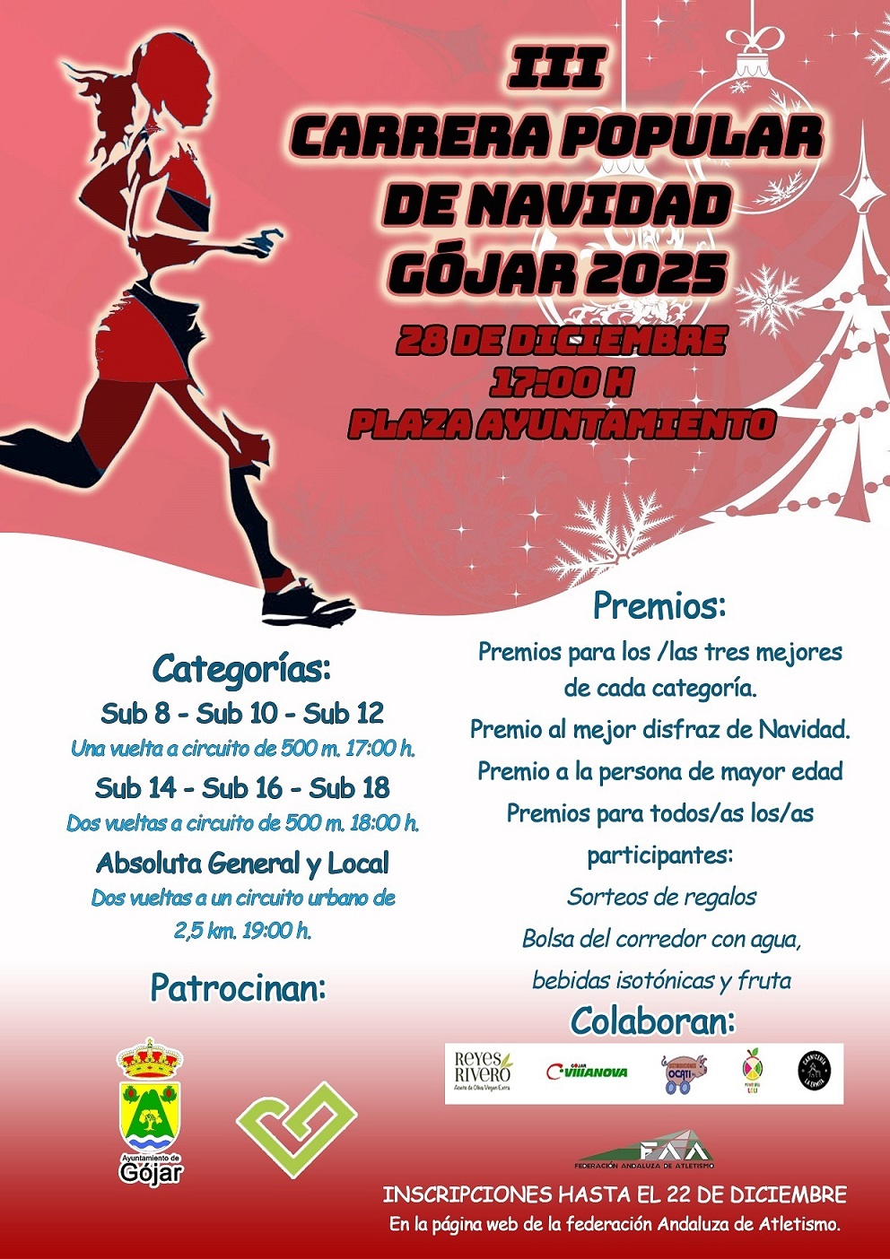 Carrera de Navidad de Gójar